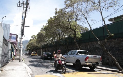 Mantenimiento. La poda de árboles y colocación de más luminarias son los pedidos que hace la comunidad