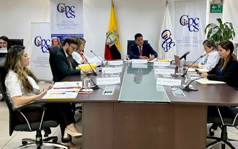 El actuar del Consejo de Participación podría acarrear su destitución, según analistas.