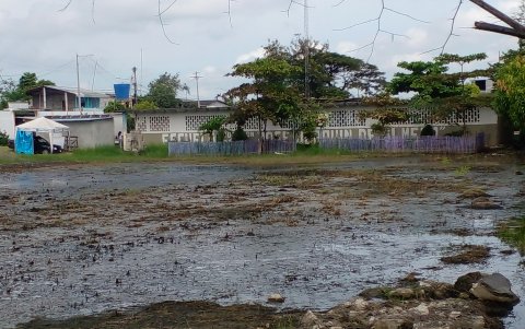 La escuela fiscal José Joaquín de Olmedo, del recinto Las Maravillas, del cantón Daule, sufre los efectos de las inundaciones causadas por las lluvias.