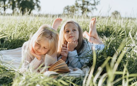 Con estas cinco bases no hay cómo perderse.