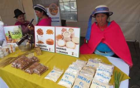 Riobamba y otros espacios turísticos de Chimborazo esperan a los turistas nacionales.