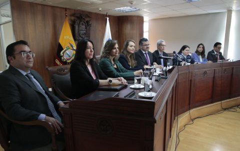 En enero de 2023, la Corte Constitucional destituyó al Consejo de Participación Ciudadana.