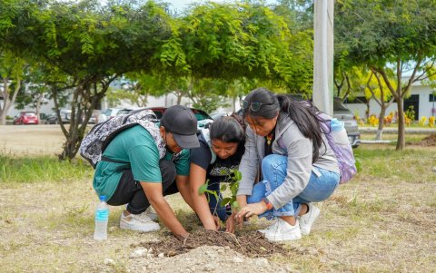 Los estudiantes llegaron desde temprano con palas y herramientas que les permitan hacer la plantación.