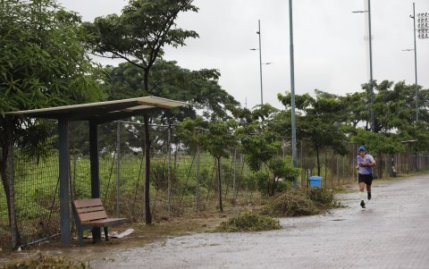 En estas condiciones, recorren el área los visitantes.