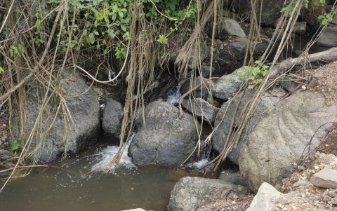 Entre piedras y lianas el visitante se encuentra con el ingreso del afluente..