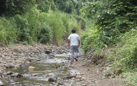 Durante el trayecto el visitante se encuentra con un riachuelo que lo lleva a la cascada.