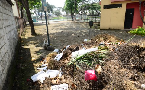 Las áreas verdes de este sector del norte de la ciudad están descuidadas, pese a que sus habitantes colaboran, una vez al mes, para su mantenimiento.
