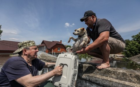 Residentes locales trabajando durante la evacuación de animales de una zona inundada de Kherson, Ucrania, el 7 de junio de 2023