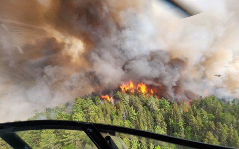 Fotografía cedida por el Gobierno de Ontario que muestra un incendio forestal, en Ontario (Canadá)