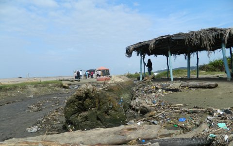 Acción. La comunidad exige llevar los troncos de gran tamaño.