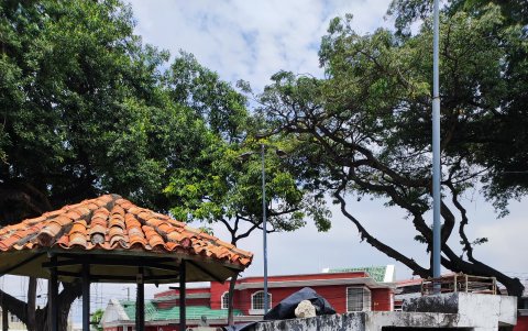 Si bien, hay atención en el arbolado hace falta mantenimiento en áreas verdes que lucen descuidadas.