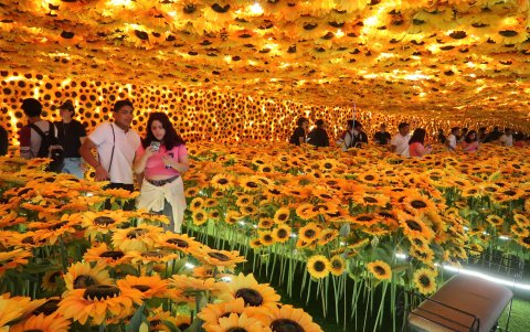 La semana pasada se inauguró, en el Policentro, una muestra de Van Gogh.
