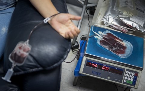Fotografía que muestra una donante voluntaria en un banco de sangre privado el 13 de junio de 2023, en Caracas (Venezuela).