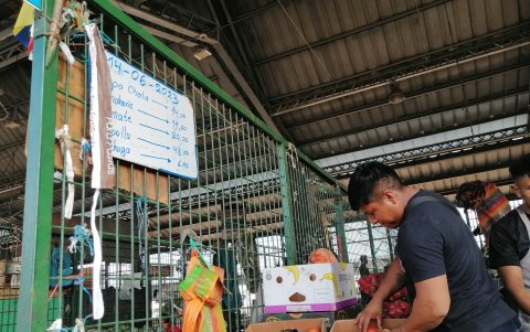 Mercado.- En Montebello la caja de tomate se vende entre 16 y 20 dólares, depende del tamaño de la fruta.