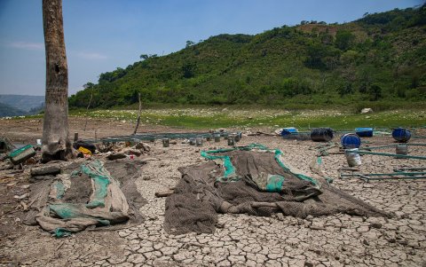 La ola de calor y altas temperaturas afectan mucho a México