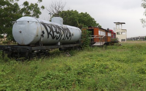 Los vagones están olvidados y rodeados de maleza.