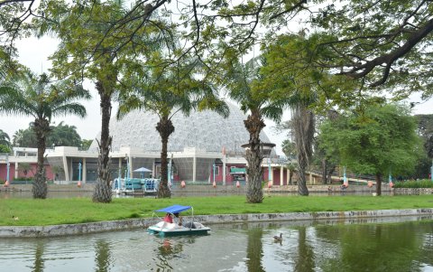 El parque aloja una gran variedad de flores y árboles nativos.