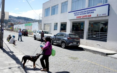 Traslado. El animal fue llevado hasta un Centro de Atención Veterinaria, Rescate y Acogida Temporal.
