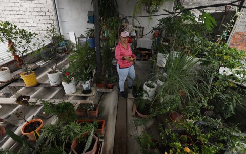 Clara García muestra todas las plantas que ha sembrado en la terraza de su casa, algunas de las cuales consume.