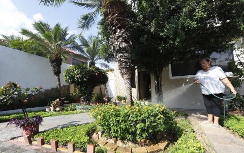 Dafne Vera utiliza la entrada y el patio de su vivienda para cultivar varios productos entre plantas ornamentales.