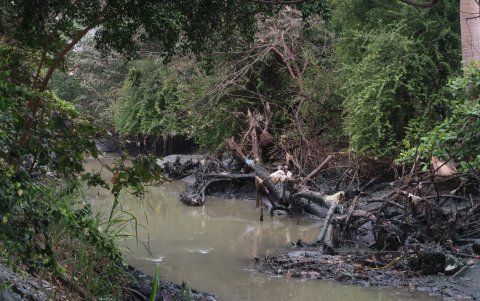 La basura, piedras y ramas secas hacen más lúgubre el paisaje de este ramal.