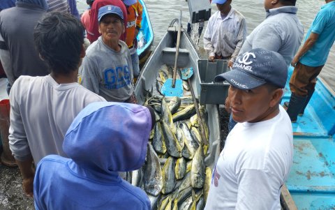 Todos comentan sobre la buena producción de peces que tienen las costas de Santa Elena.