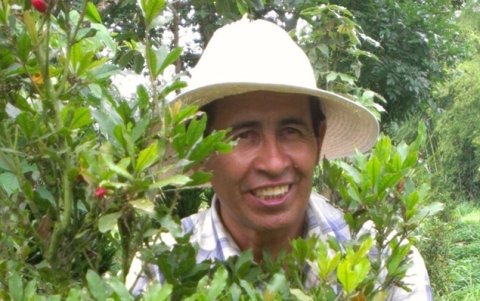 Visionario. Valerio Tapia, coleccionista de plantas, quien sembró tres hectáreas de fruta milagrosa.