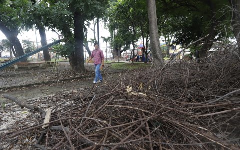 Las ramas secas de los árboles abonan al panorama despintado de los parques que pueden ser utilizados por la comunidad.