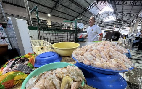 Camarones. En la Caraguay la libra de camarón se ofrece entre 2 y 2,50 dólares, según el porte.