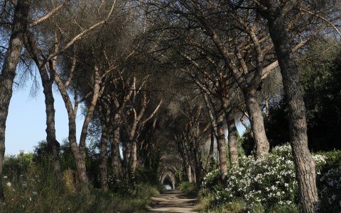El paisaje que se observa encanta a los visitantes