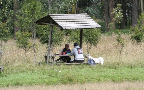 Las familias aprovechan para compartir en los espacios abiertos de Quito.