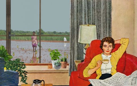 La señora de las plan.