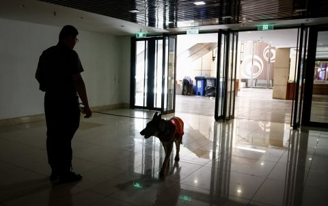 Liu Yin Tong, a punto de iniciar una búsqueda apoyado por Luo Luo, un perro pastor pieza clave del equipo y capaz de encontrar y lidiar con los de su especie.