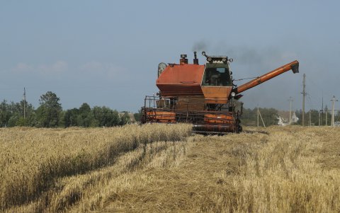 Una cosechadora combinada trabaja en el campo durante una cosecha cerca de Kiev, Ucrania, el 18 de julio de 2023.