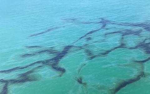 Los 'hilos' de petróleo se extienden por el mar y llegan hasta la playa Las Palmas.