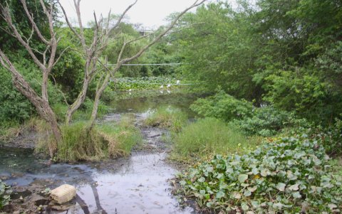 El problema. Ante la carencia de la planta y del sistema de alcantarillado, las aguas negras se mezclan incluso con el agua del estero y el mar, poniendo en riesgo a la comunidad.