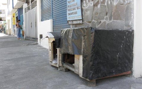 Ilegal. Permitir que los animales con tutor duerman en la calle es ilegal y sancionado, según la ordenanza vigente