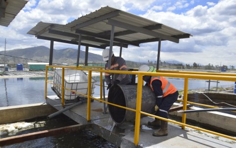 Lixiviados. El líquido que desprenden los desechos es tratado para obtener agua de riego.