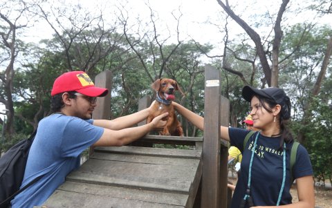 Un par de tutores juega con su mascota en el parque destinados a los animales de compañía en el sector de Kennedy Norte.