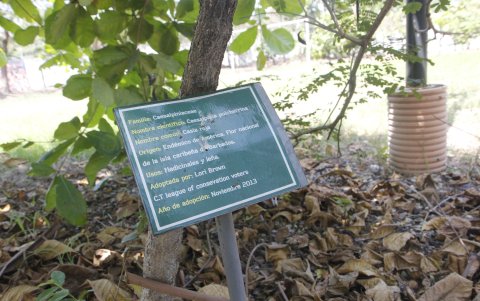 Rótulos. En algunos letreros aún se pueden leer las características de las plantas que existían en el parque Antonio Neumane.