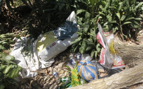 Basura. Los desechos se mezclan con las pocas plantas que todavía están verdes.