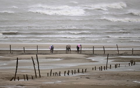 Pescadores terminan su trabajo en la playa cuando se acerca el tifón Doksuri en Fuzhou, China, el 27 de julio de 2023.