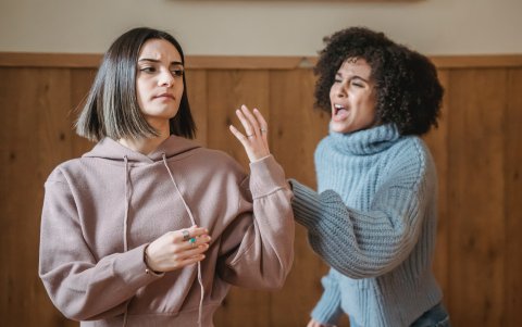 Tenga presente que los insultos siguen siendo violencia verbal si están dirigidos hacia una persona.