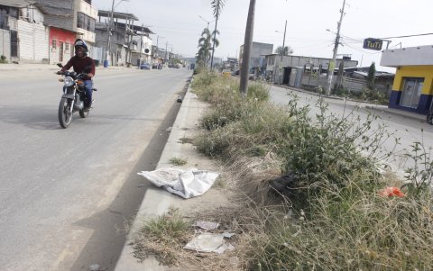 El algunas avenidas las áreas verdes tampoco son atendidas.