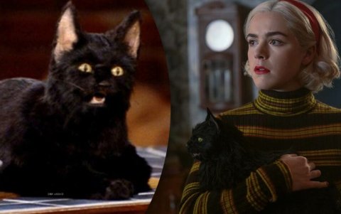 Salem, el gato de Sabrina, la bruja adolescente.