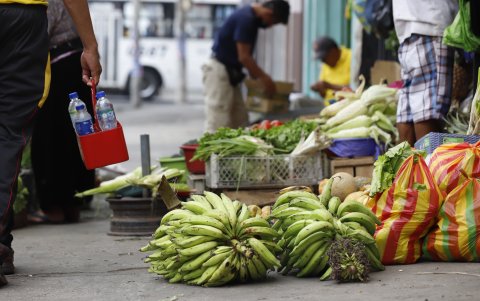 Tienda. Los verdes dominico están pequeños y caros.