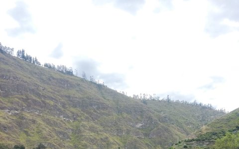 La mujer de 27 años murió al rodar en la montaña en Quillán cuando buscaba a su mascota.