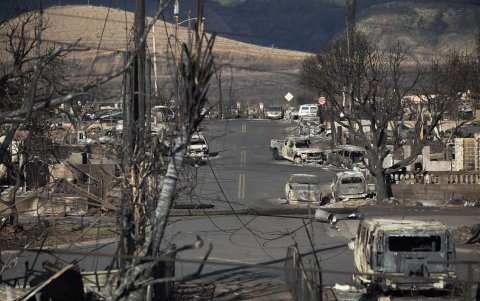 Los árboles y automóviles quemados y las ruinas de las casas son lo que queda después de que el incendio de Lahaina arrasara la ciudad, en Lahaina.