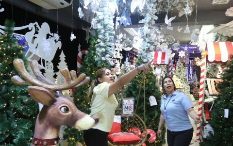 Showroom. La empresa Alessa muestra lo nuevo que hay en decoración a los mayoristas.