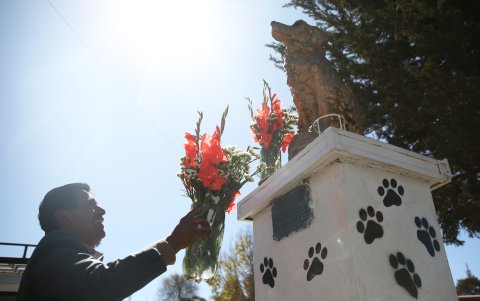 Un hombre rinde honores a la estatua del perro 'Choco', en El Alto. Las manifestaciones de afecto hacia los perros abundaron este miércoles 16 de agosto de 2023, Día de San Roque, en Bolivia.